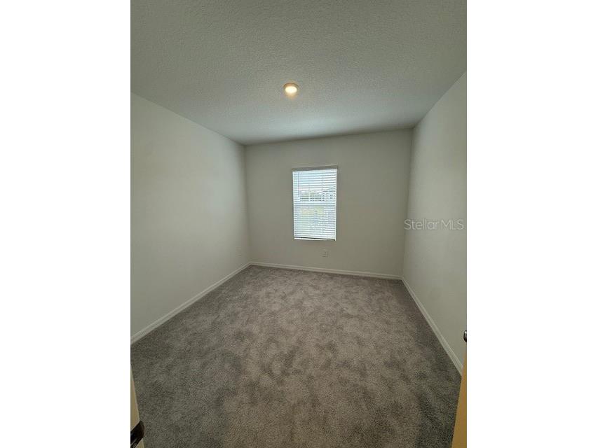 3410 Lapis Lake Drive Zephyrhills FL 33541 TB8444575 image20