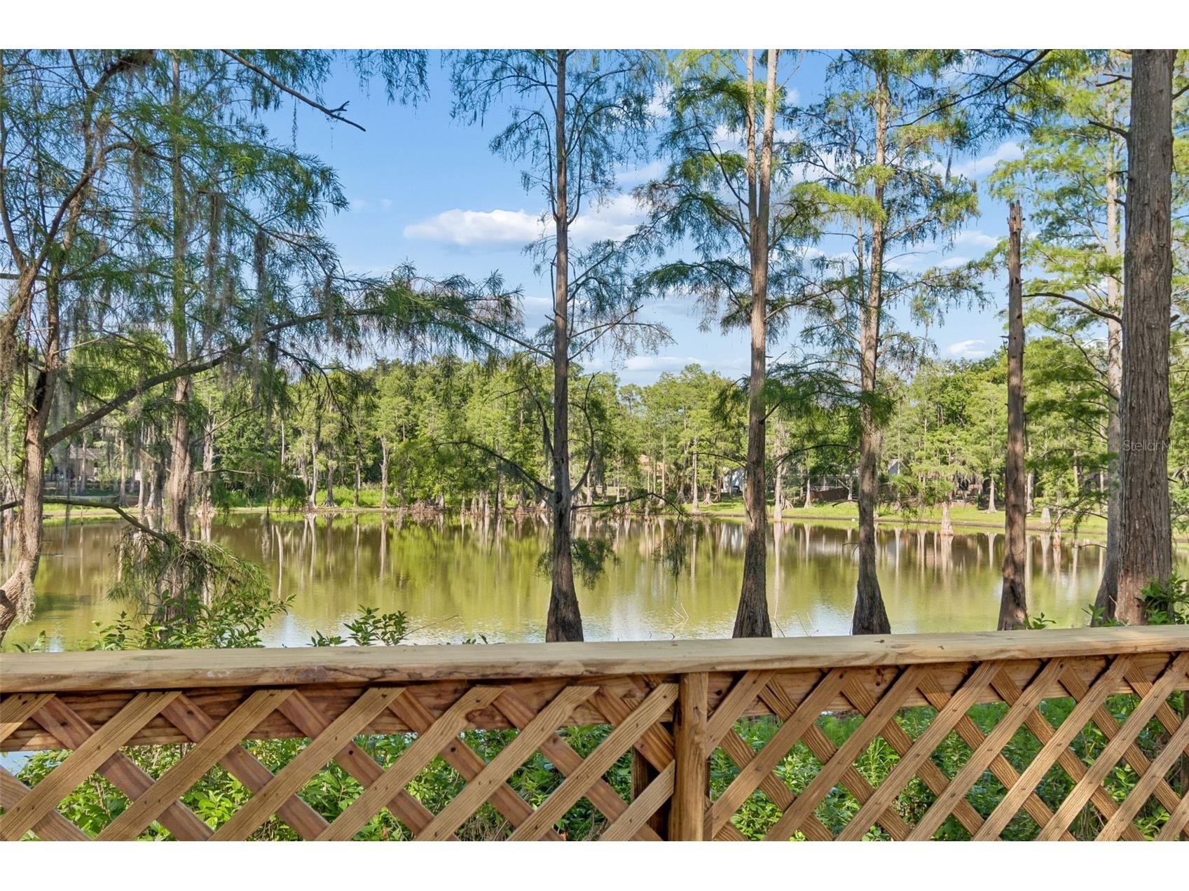 3410 Laurel Dale Drive Tampa FL 33618 W7885422 image20