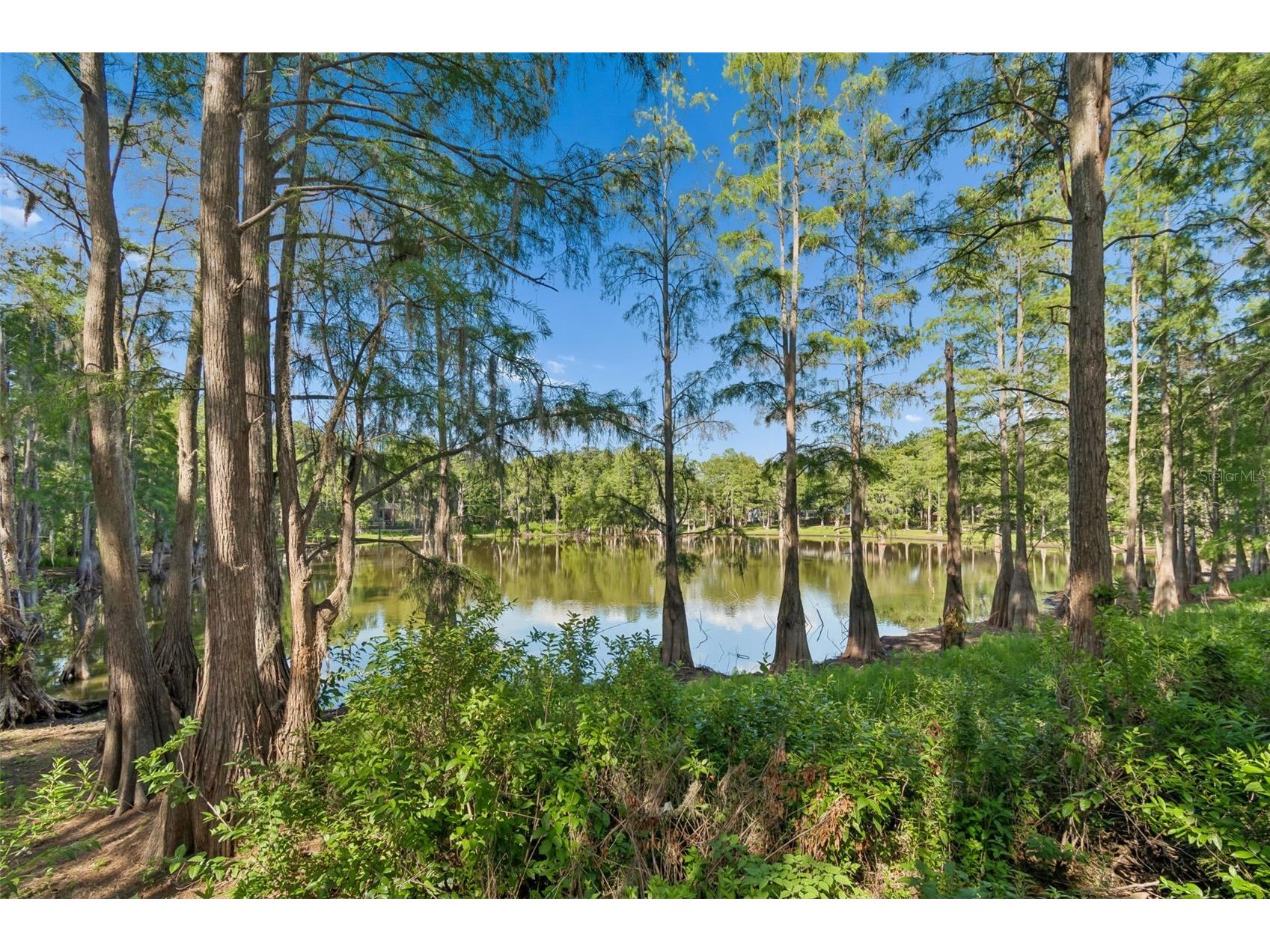 3410 Laurel Dale Drive Tampa FL 33618 W7885422 image21