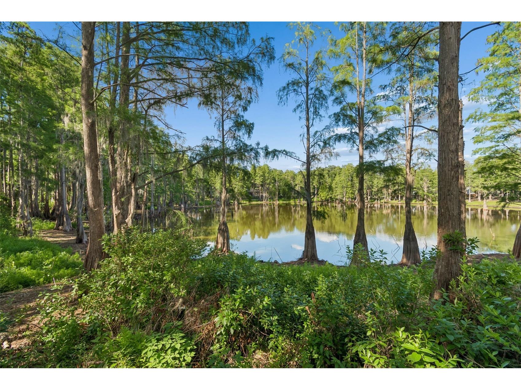 3410 Laurel Dale Drive Tampa FL 33618 W7885422 image22