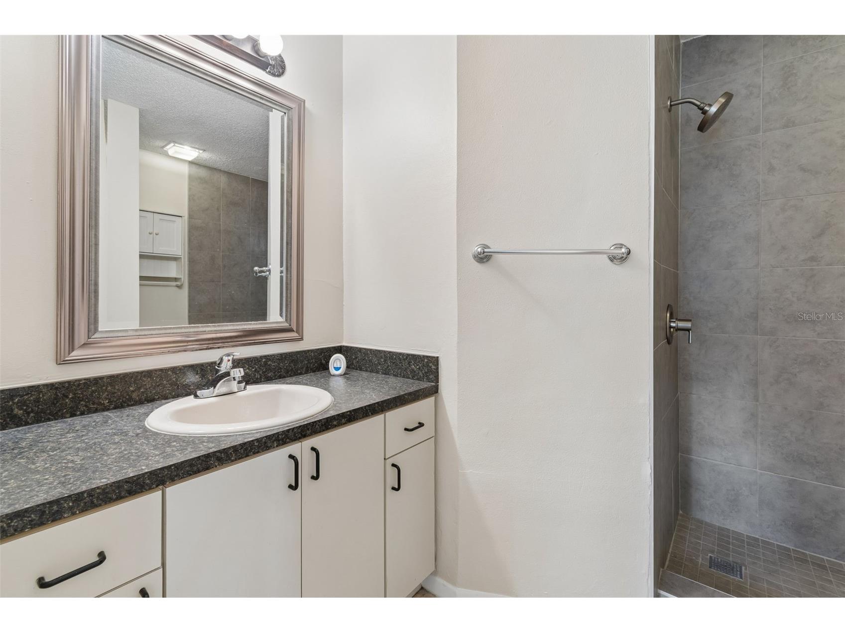 3410 Laurel Dale Drive Tampa FL 33618 W7885422 image32