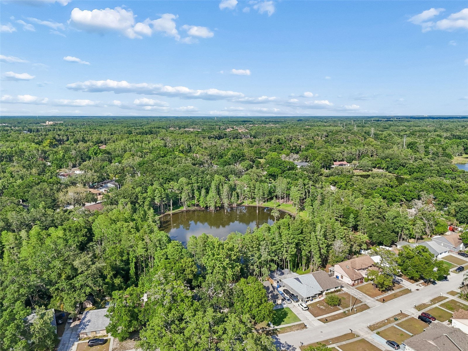 3410 Laurel Dale Drive Tampa FL 33618 W7885422 image80
