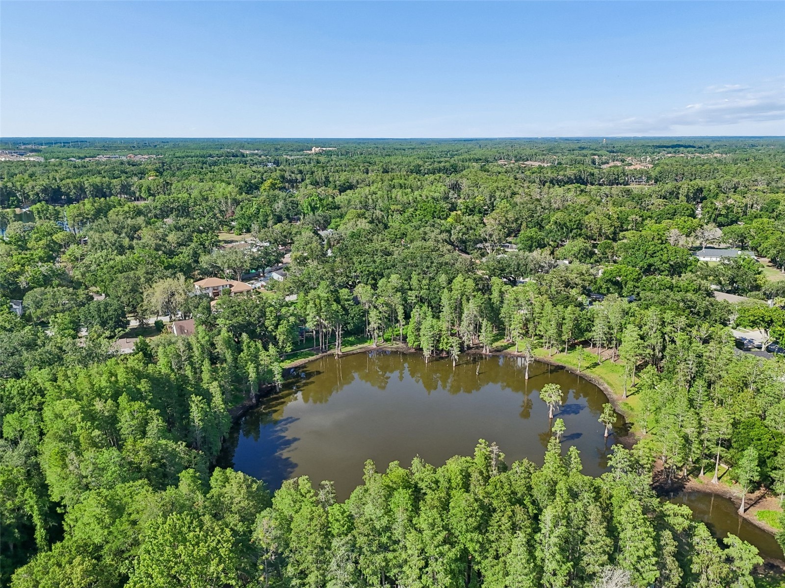 3410 Laurel Dale Drive Tampa FL 33618 W7885422 image84