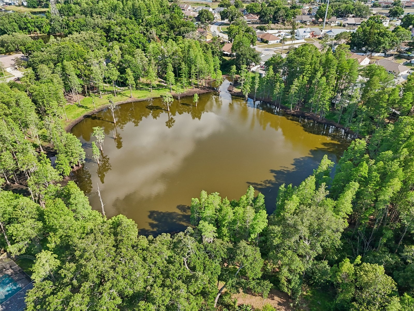 3410 Laurel Dale Drive Tampa FL 33618 W7885422 image87