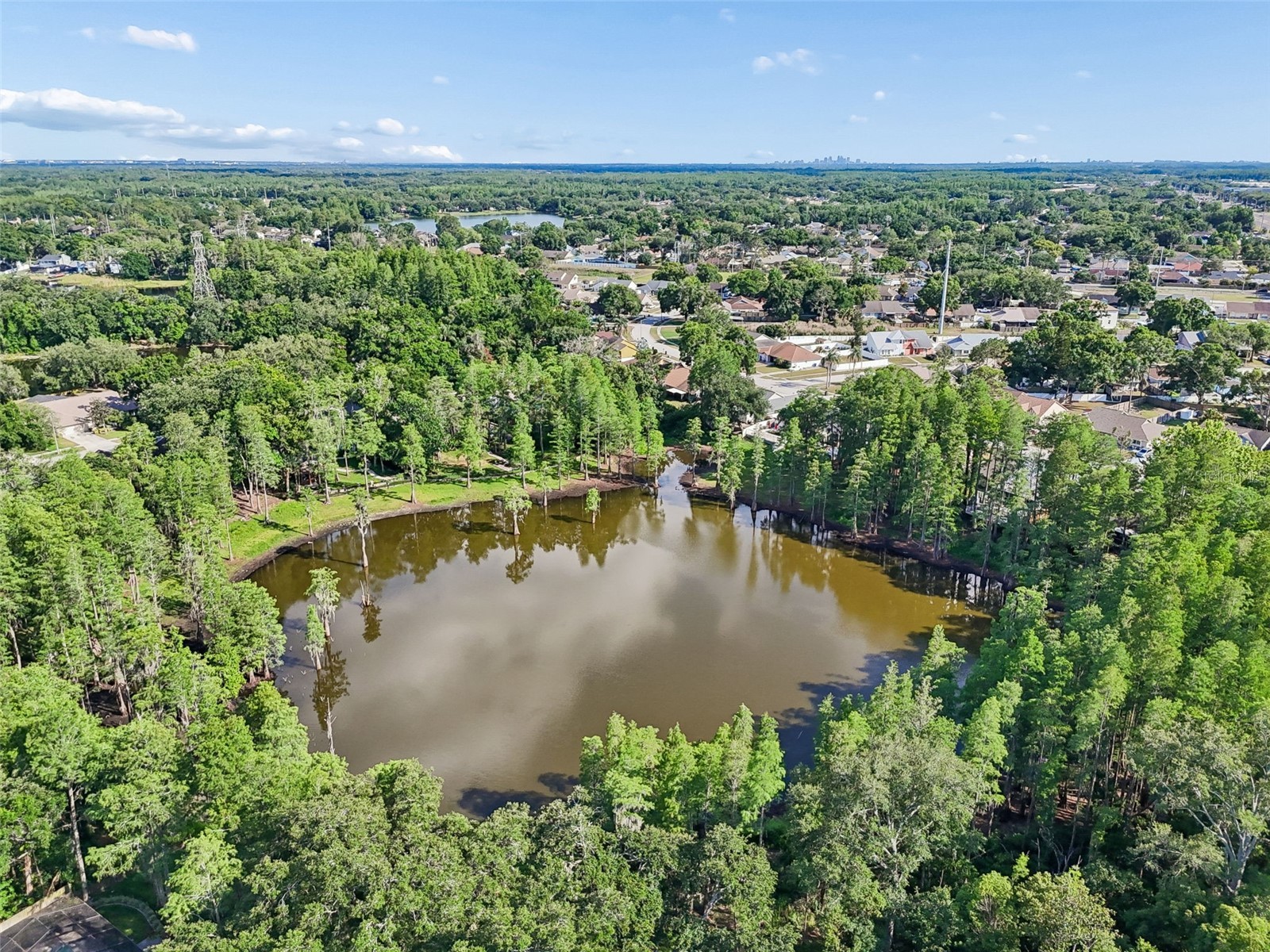 3410 Laurel Dale Drive Tampa FL 33618 W7885422 image88