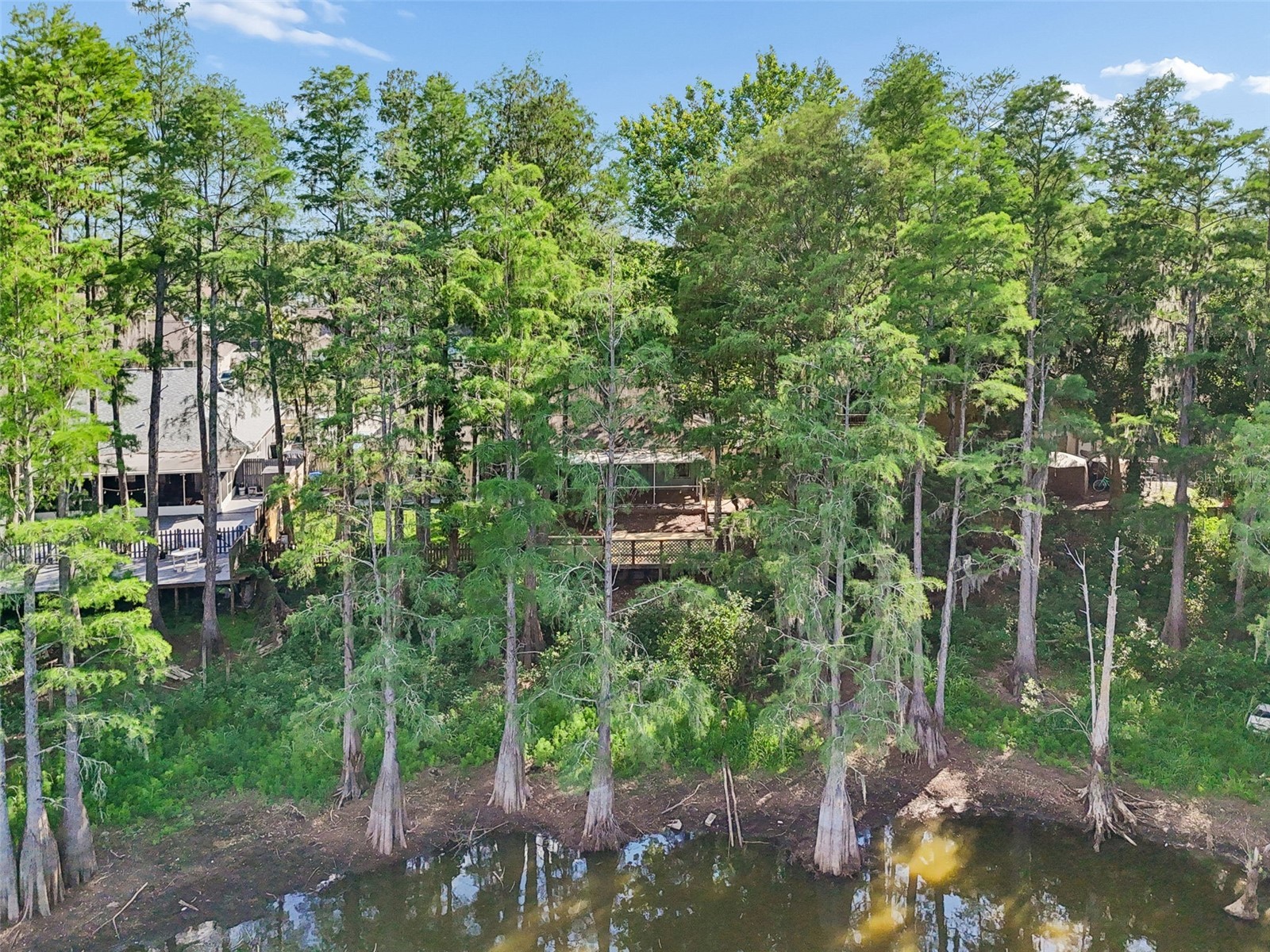 3410 Laurel Dale Drive Tampa FL 33618 W7885422 image89
