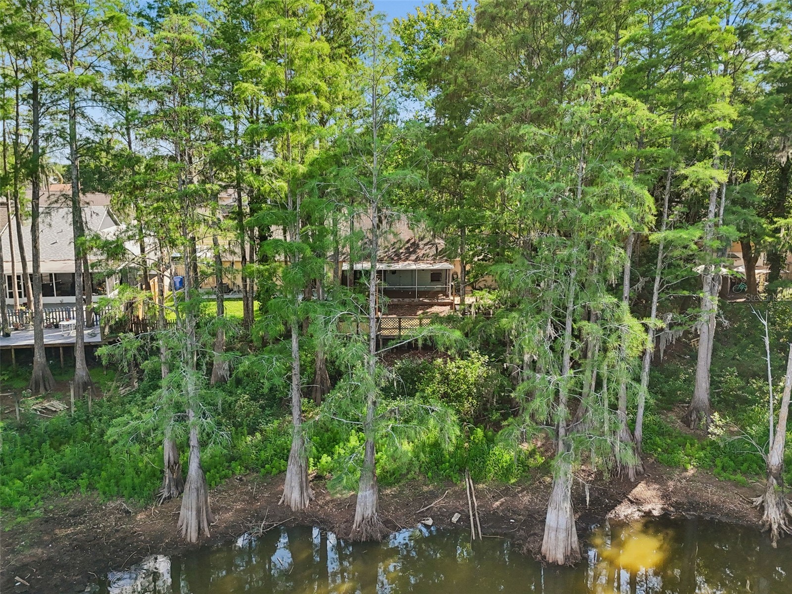 3410 Laurel Dale Drive Tampa FL 33618 W7885422 image90