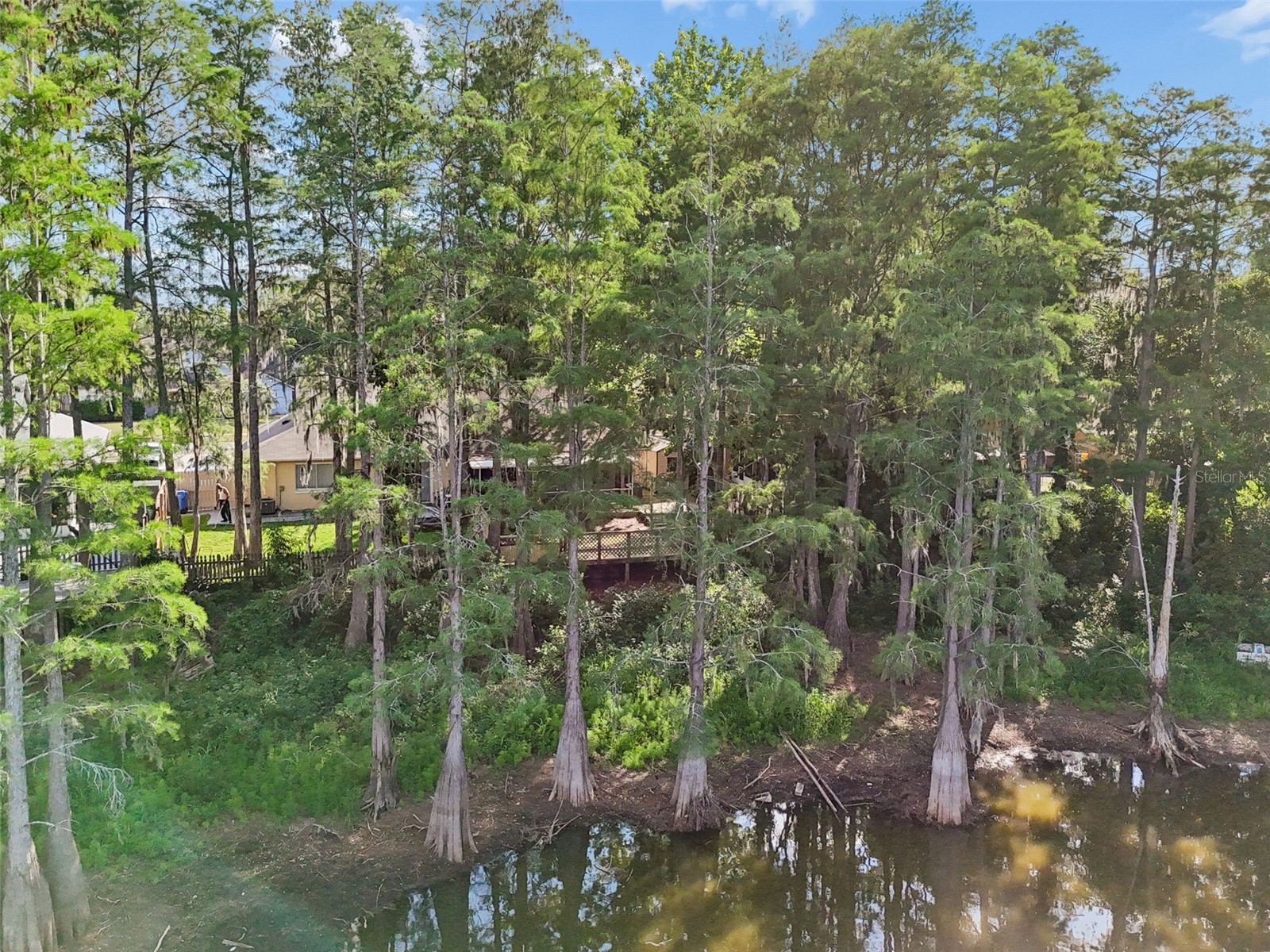 3410 Laurel Dale Drive Tampa FL 33618 W7885422 image91