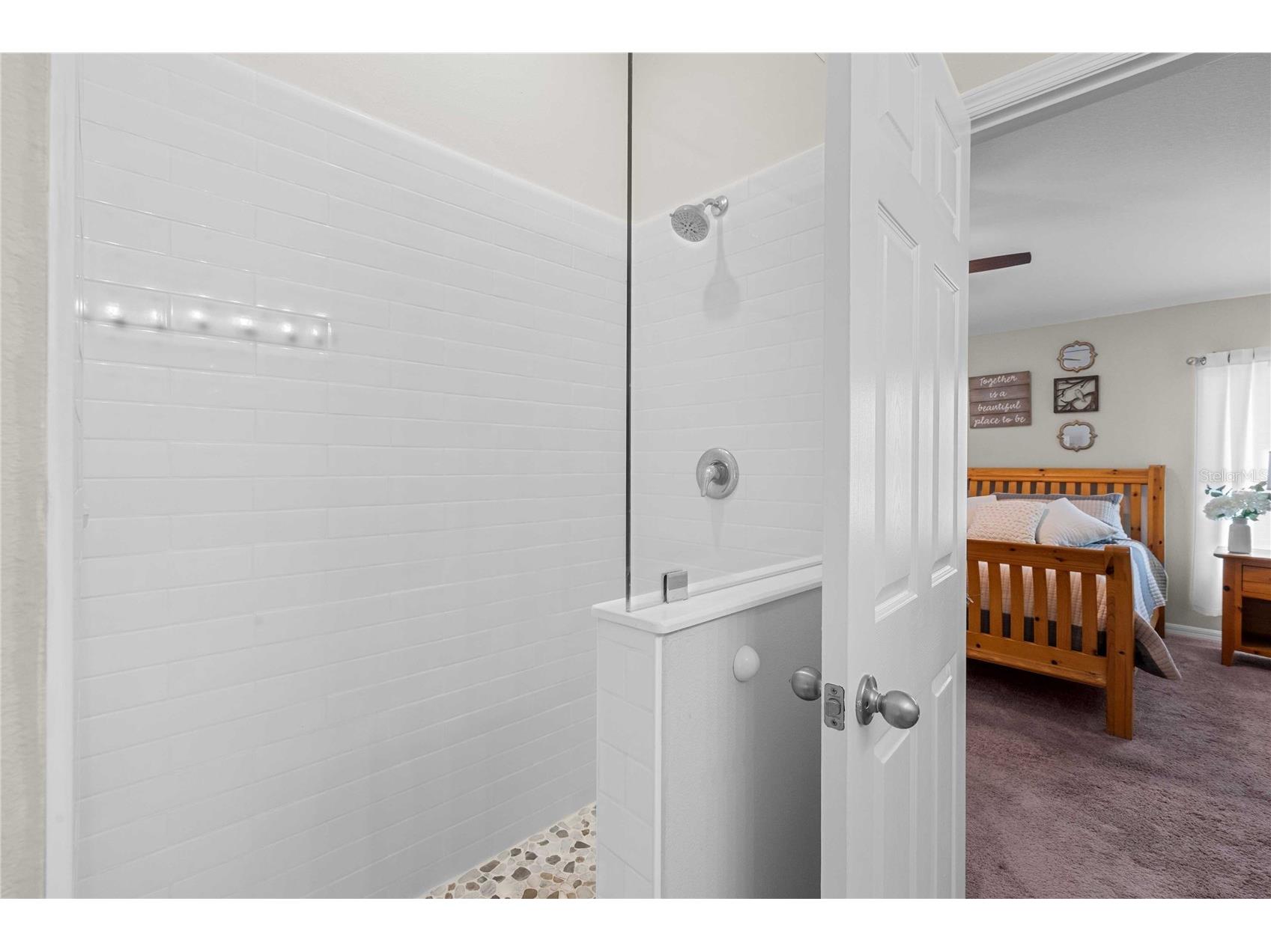 34102 Scarlet Sage Court Wesley Chapel FL 33545 TB8495123 image20