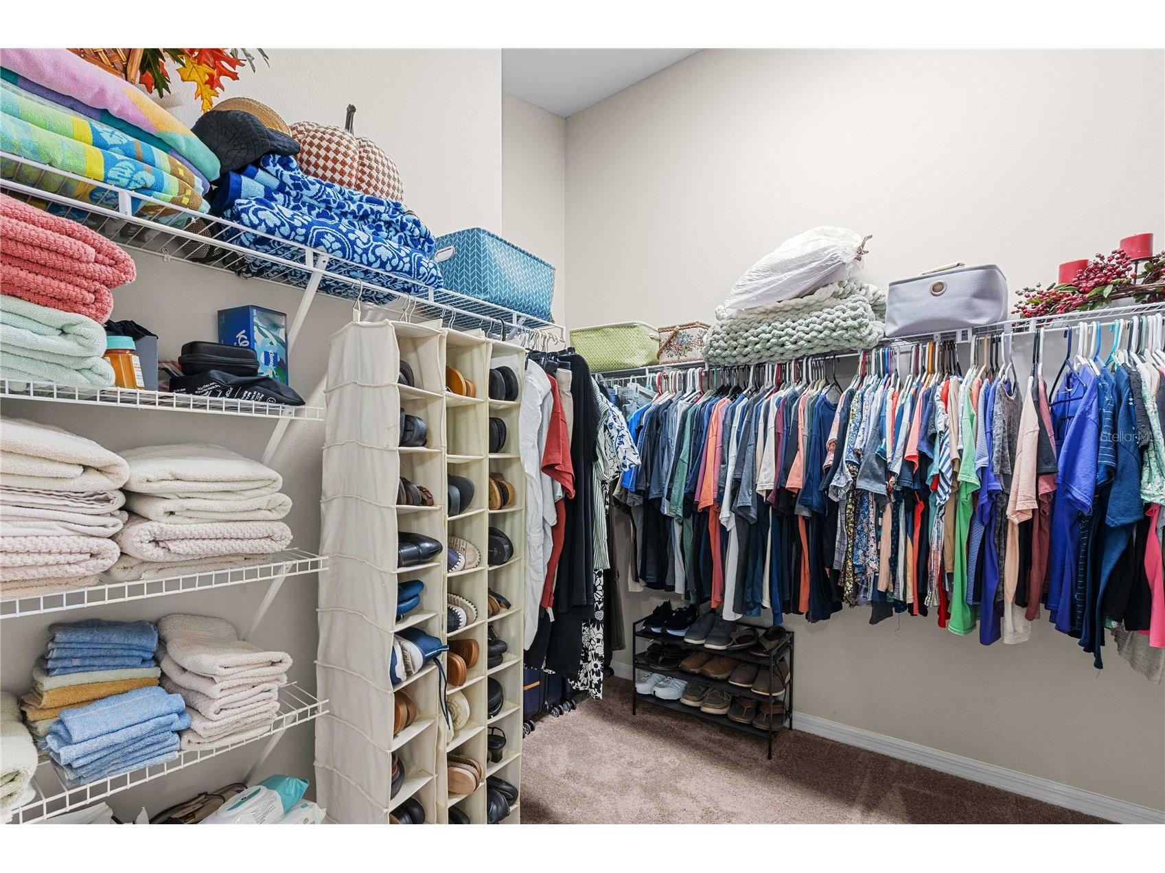 34102 Scarlet Sage Court Wesley Chapel FL 33545 TB8495123 image22