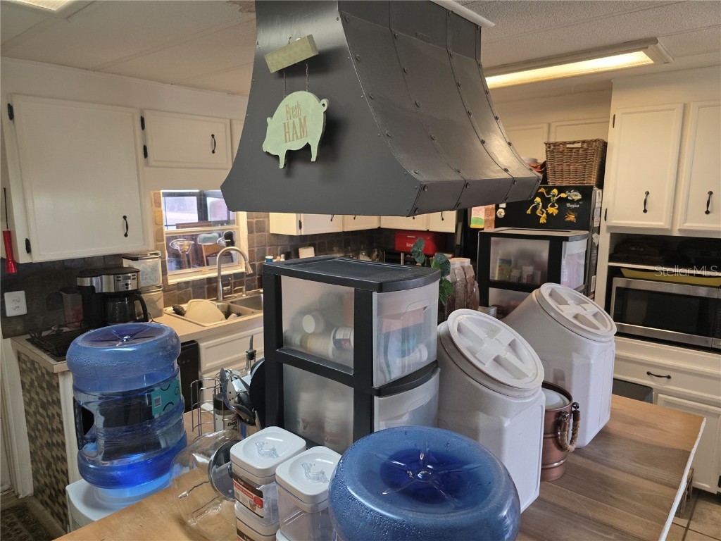 34103 Hodges Road Leesburg FL 34788 O6358759 image13