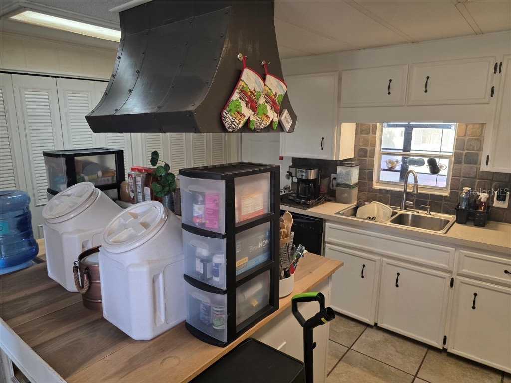 34103 Hodges Road Leesburg FL 34788 O6358759 image14