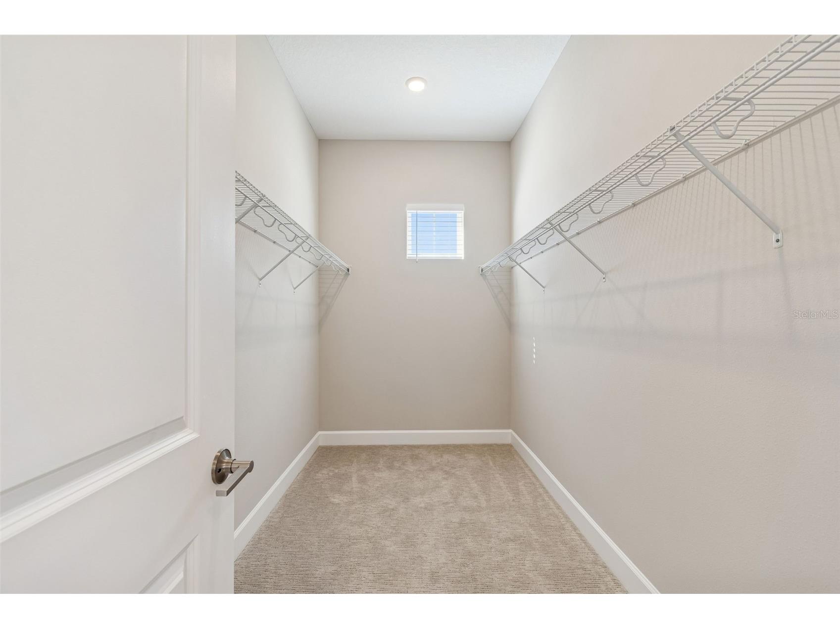 34109 Tributary Court Wesley Chapel FL 33543 TB8427418 image20