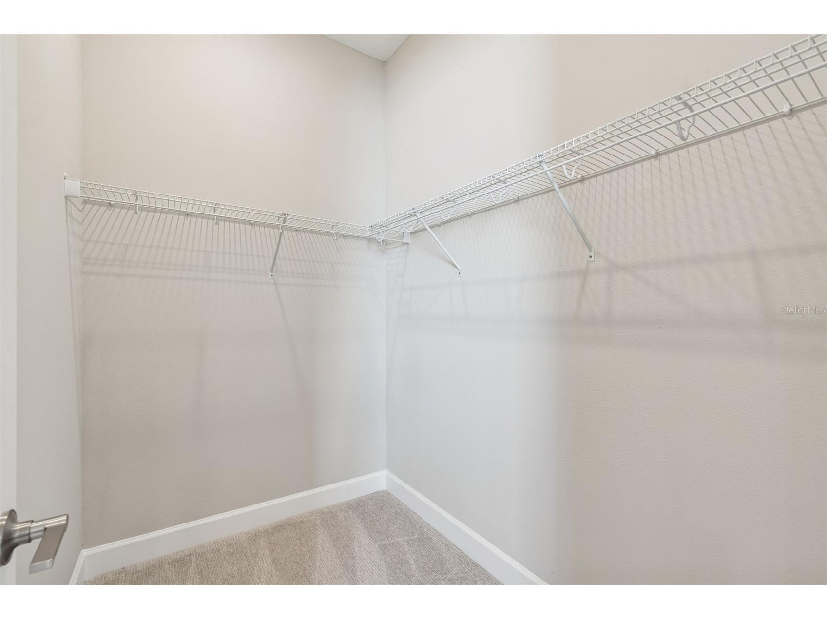 34109 Tributary Court Wesley Chapel FL 33543 TB8427418 image44