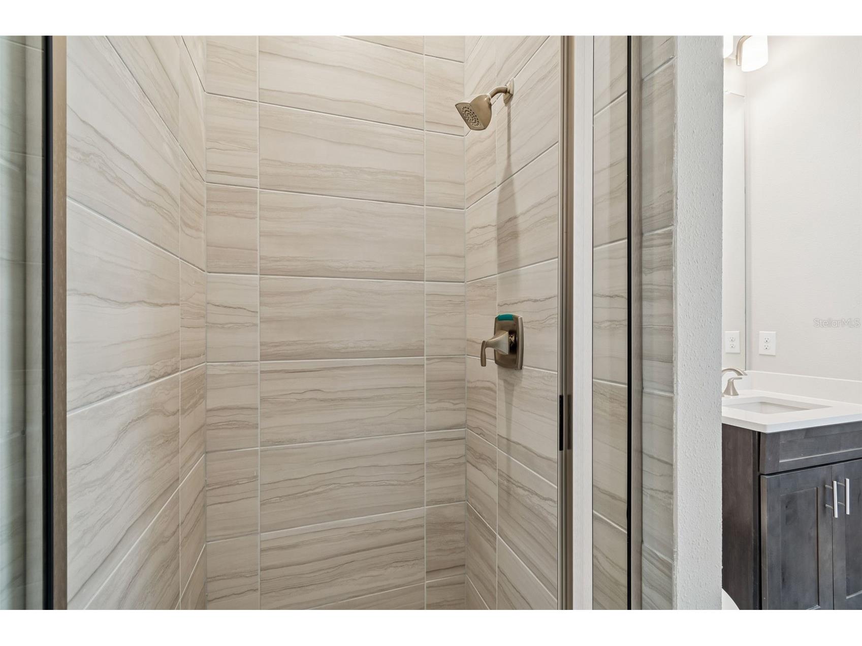 34109 Tributary Court Wesley Chapel FL 33543 TB8427418 image49