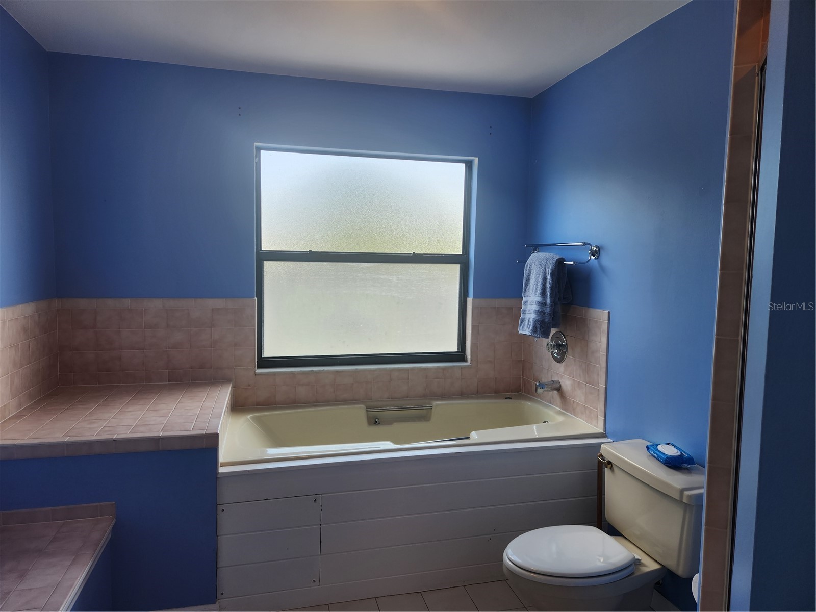 3411 Avenida Madera #A Bradenton FL 34210 A4691500 image18