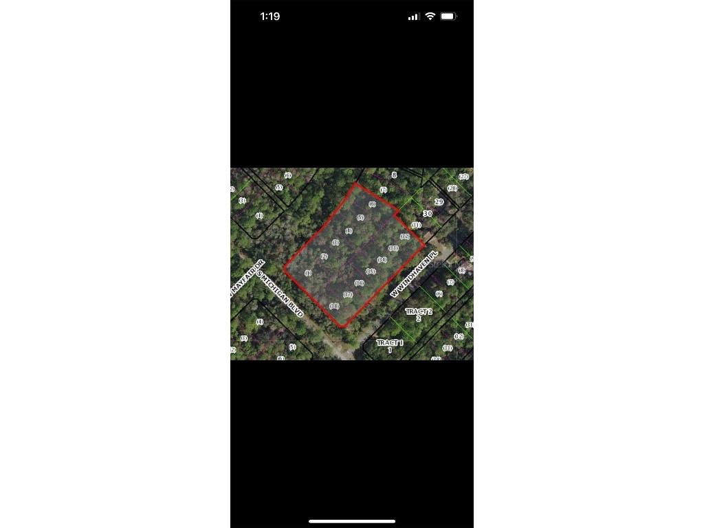 3411 S Michigan Boulevard Homosassa FL 34448 TB8429217 image3