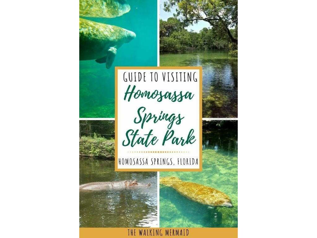 3411 S Michigan Boulevard Homosassa FL 34448 TB8429217 image6