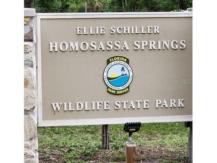 3411 S Michigan Boulevard Homosassa FL 34448 TB8429217 image7