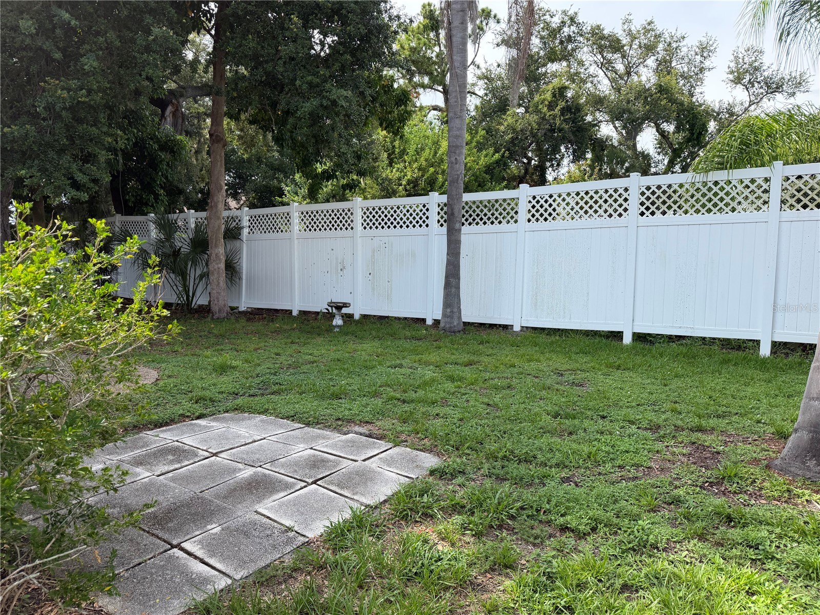 3411 Sea View Street Sarasota FL 34239 A4699337 image3