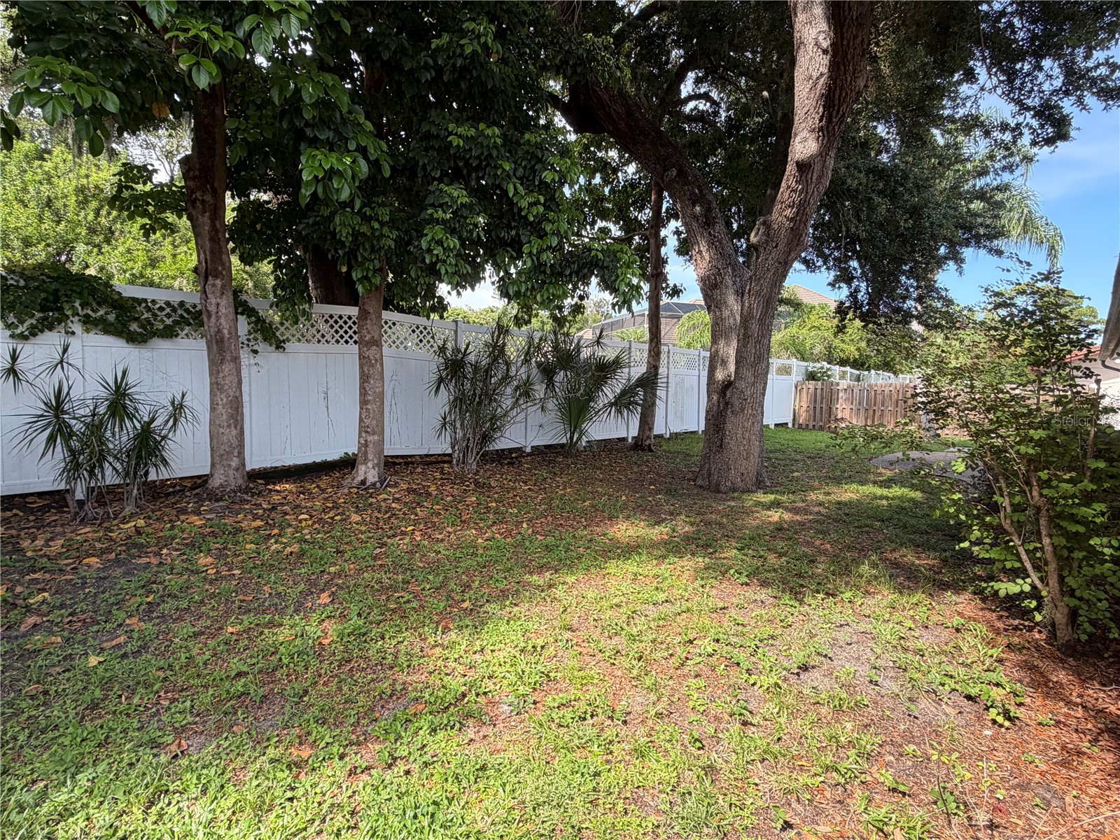 3411 Sea View Street Sarasota FL 34239 A4699337 image4