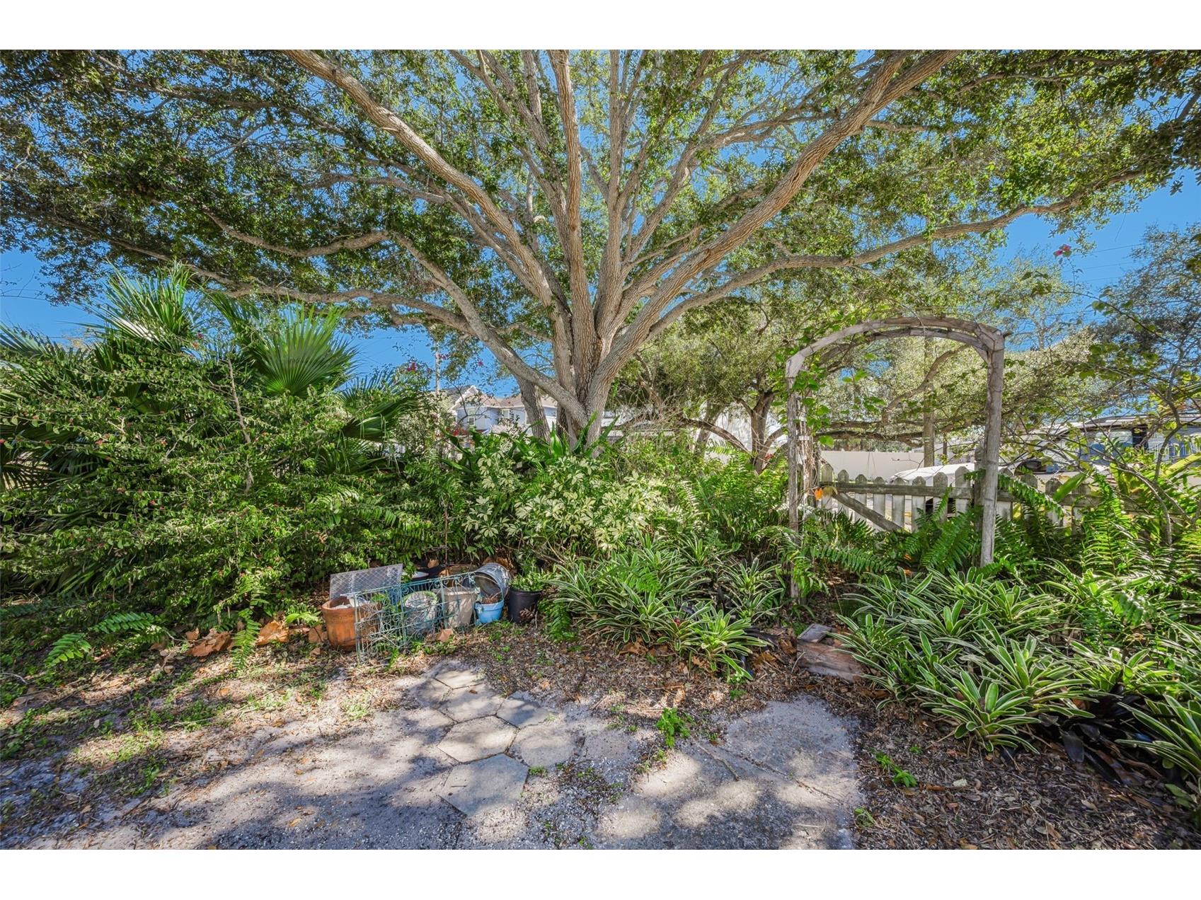 3411 W Bay Avenue Tampa FL 33611 TB8473278 image15