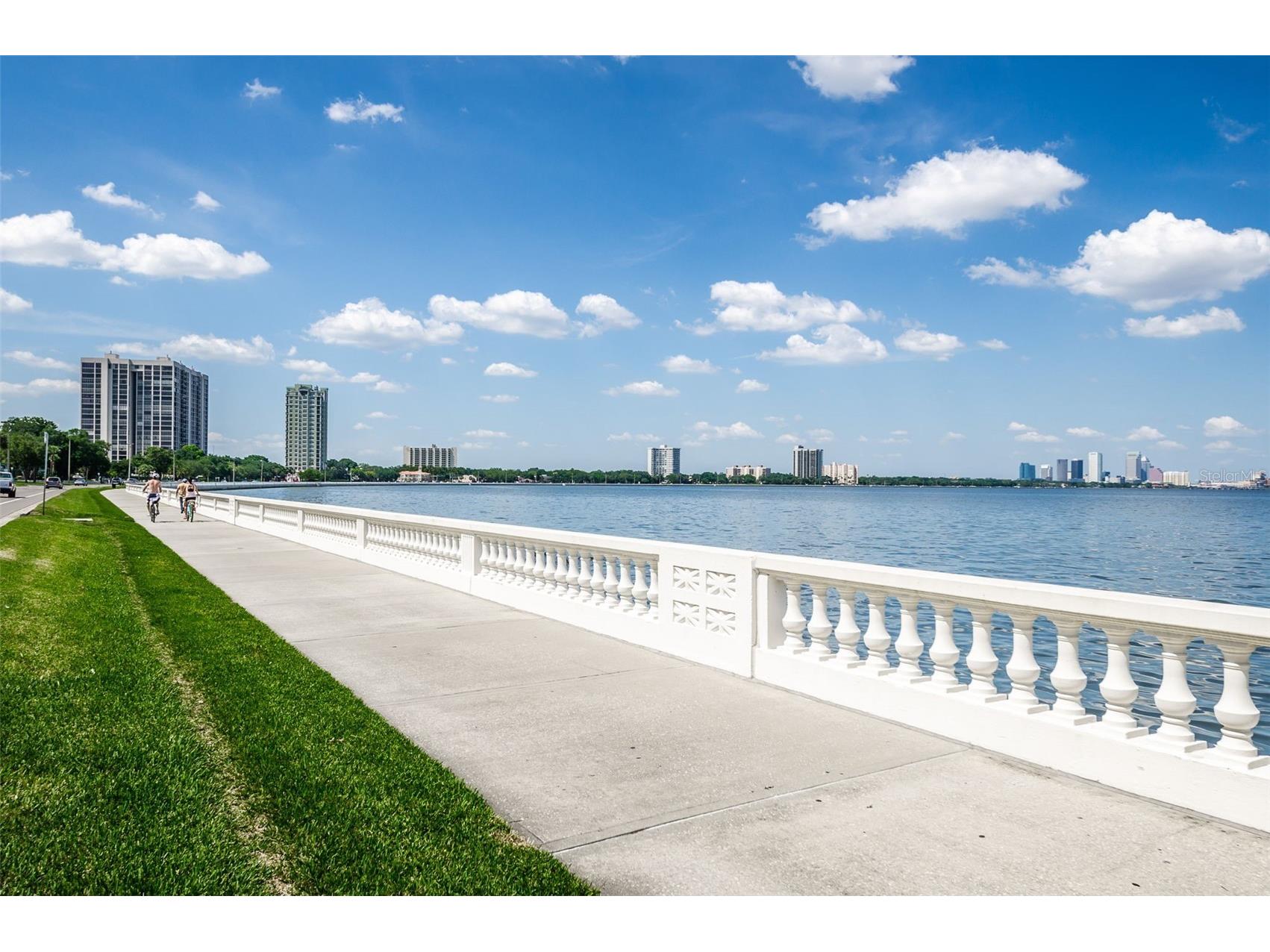 3411 W Bay Avenue Tampa FL 33611 TB8473278 image53