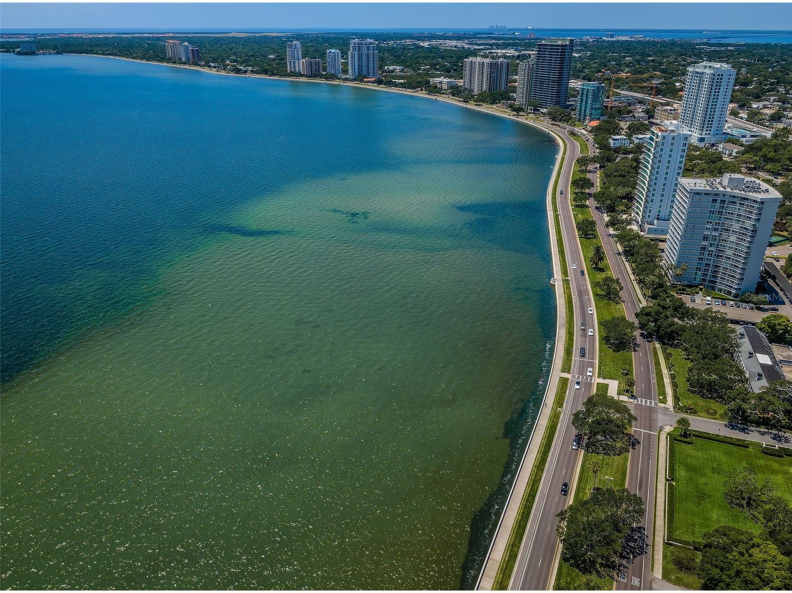 3411 W Bay Avenue Tampa FL 33611 TB8473278 image54
