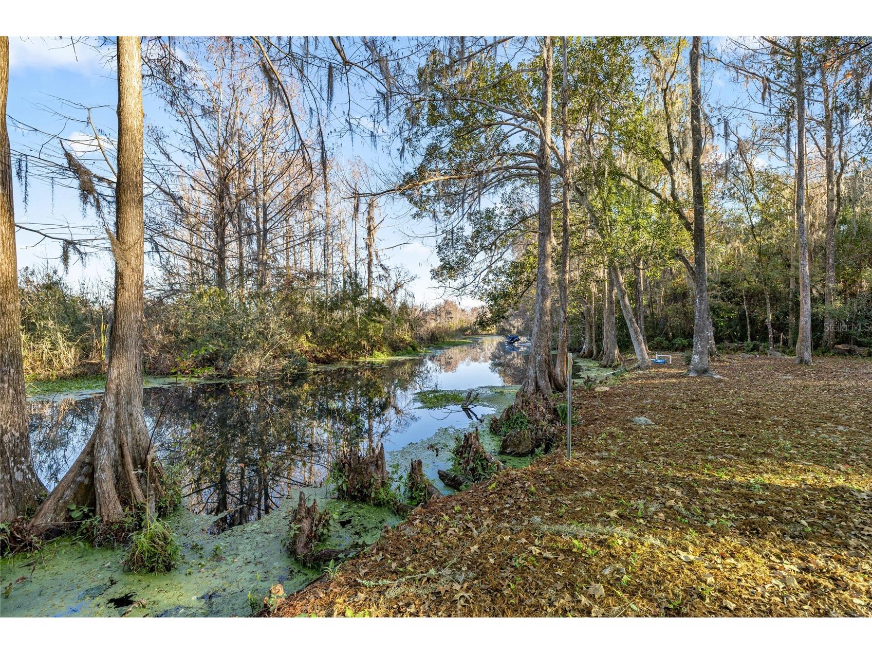 3411 W Cypress Drive Dunnellon FL 34433 - CANAL - LAKE ROUSSEAU A4680862 image31