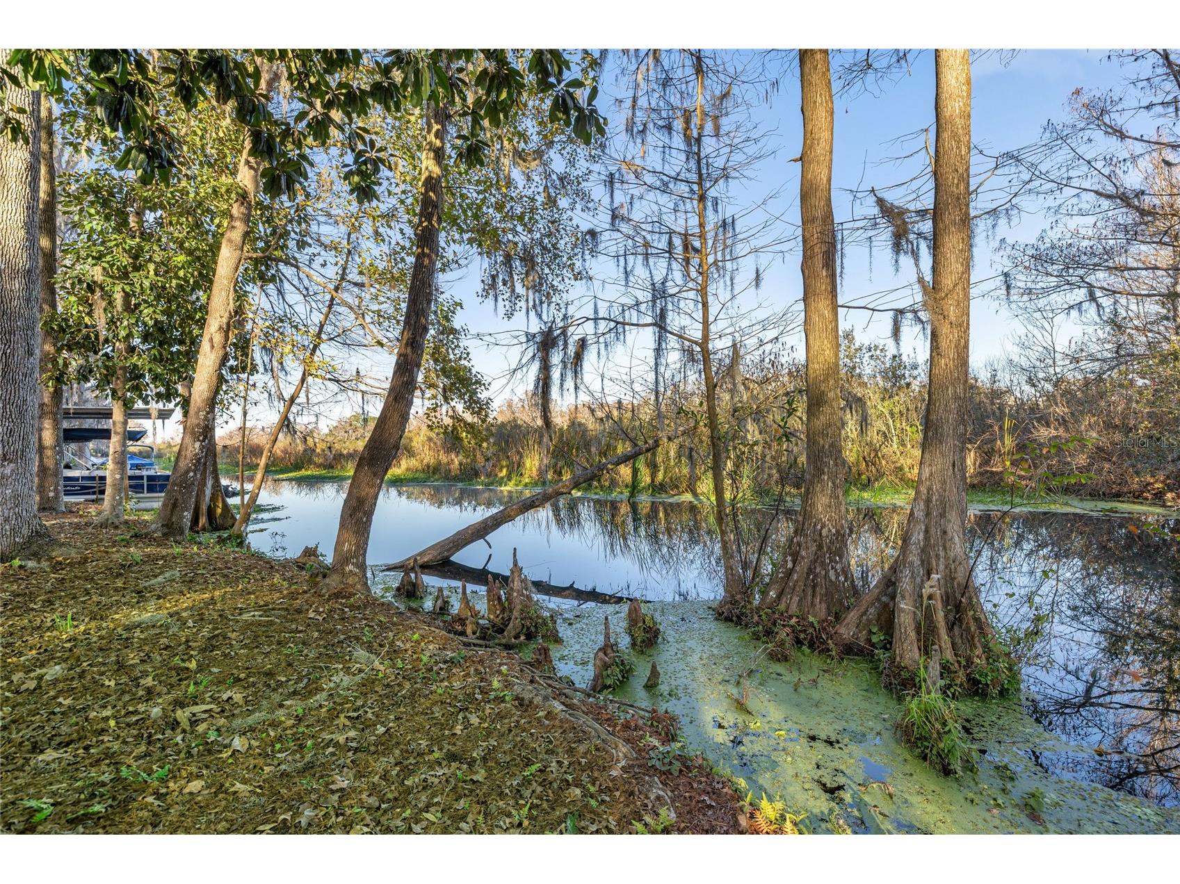 3411 W Cypress Drive Dunnellon FL 34433 - CANAL - LAKE ROUSSEAU A4680862 image32
