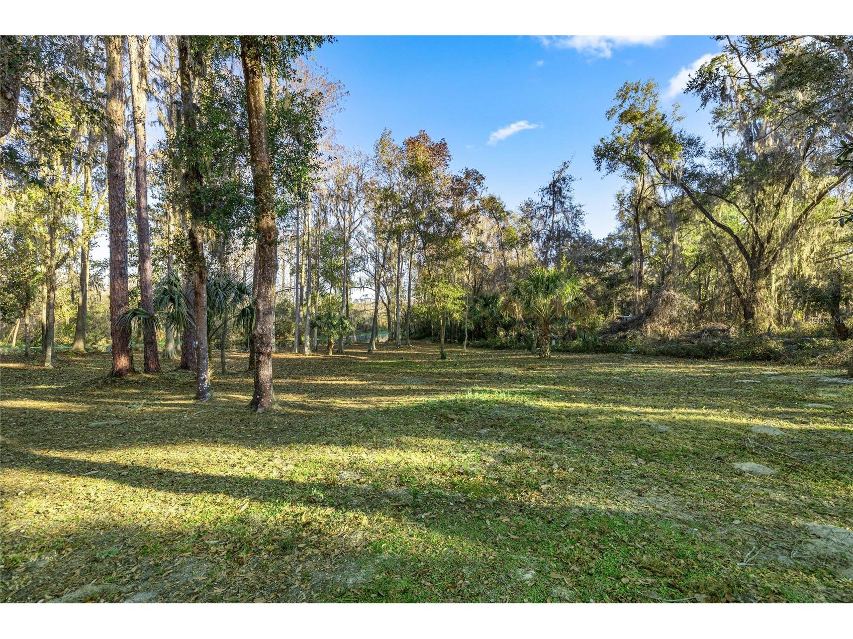 3411 W Cypress Drive Dunnellon FL 34433 - CANAL - LAKE ROUSSEAU A4680862 image33