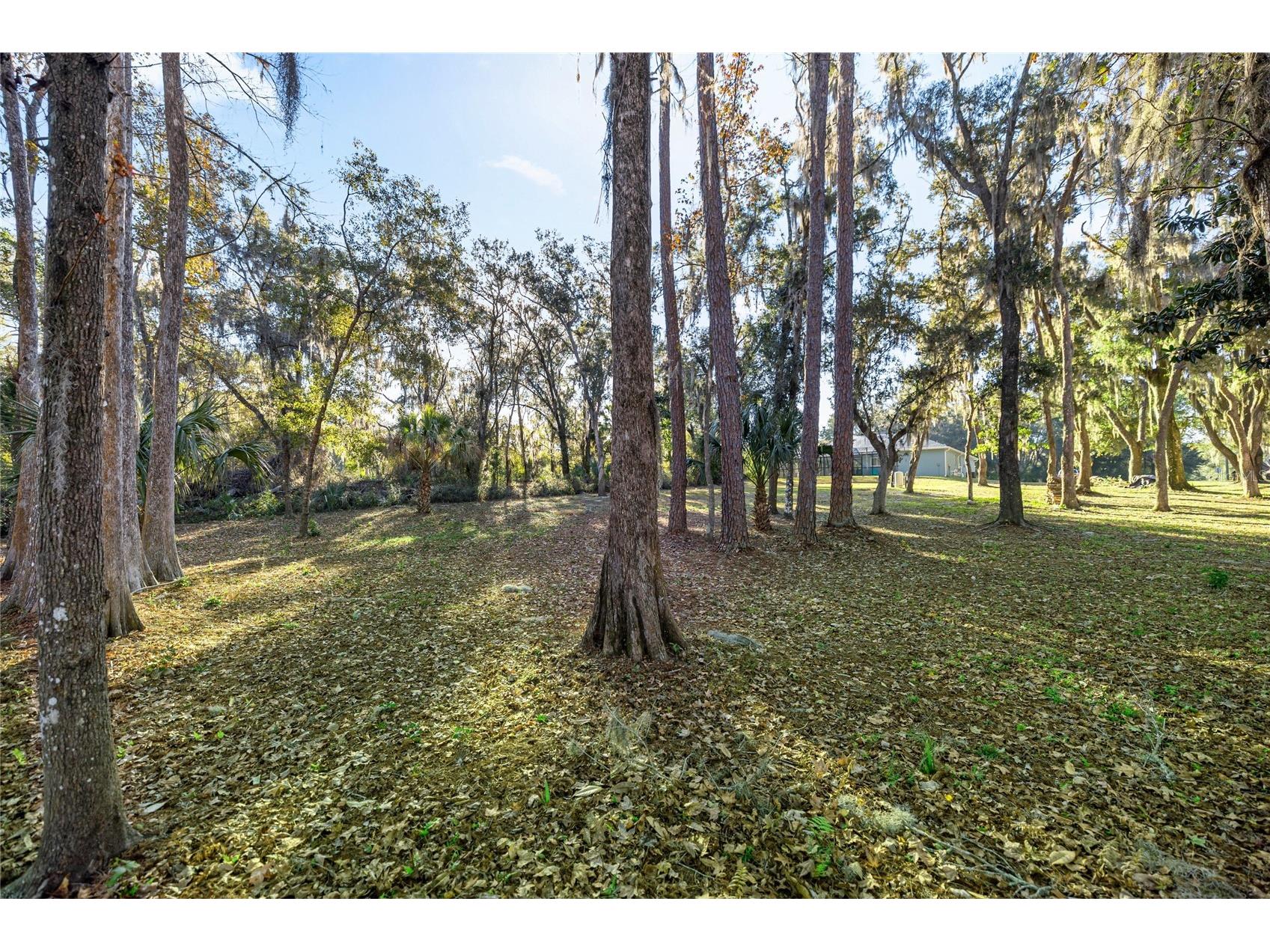 3411 W Cypress Drive Dunnellon FL 34433 - CANAL - LAKE ROUSSEAU A4680862 image34
