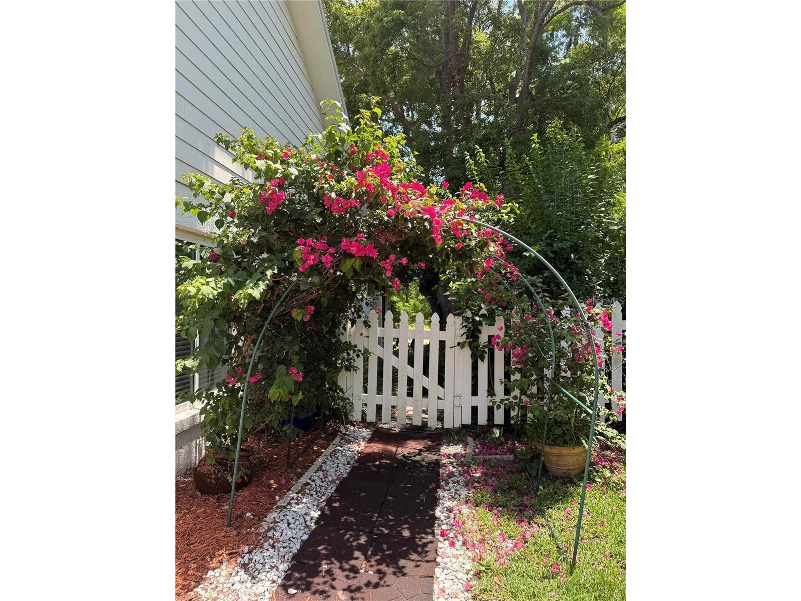 3411 Windy Wood Drive Orlando FL 32812 - LAKE FARRAR O6387564 image23