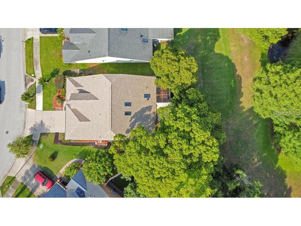 3411 Windy Wood Drive Orlando FL 32812 - LAKE FARRAR O6387564 image30