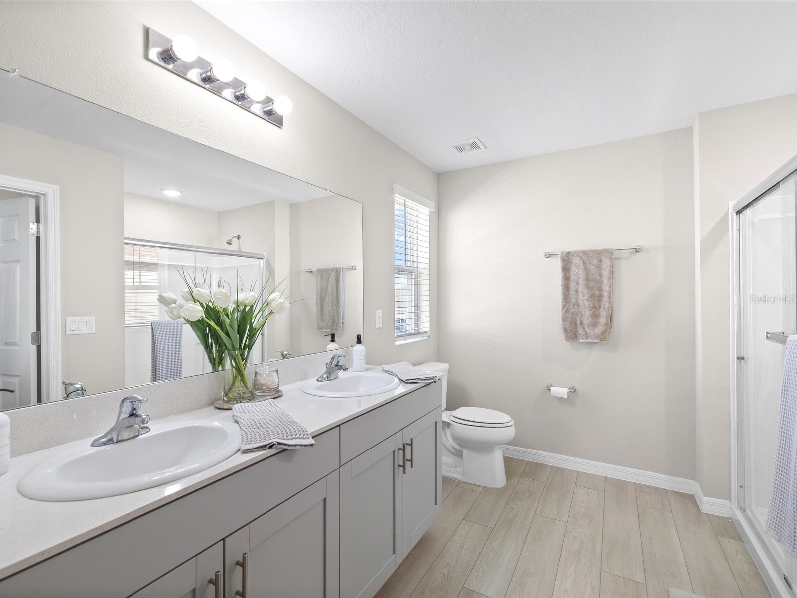 34110 Scarlet Sage Court Wesley Chapel FL 33545 TB8508128 image15