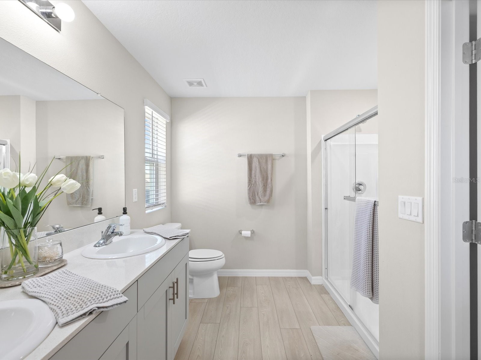 34110 Scarlet Sage Court Wesley Chapel FL 33545 TB8508128 image16