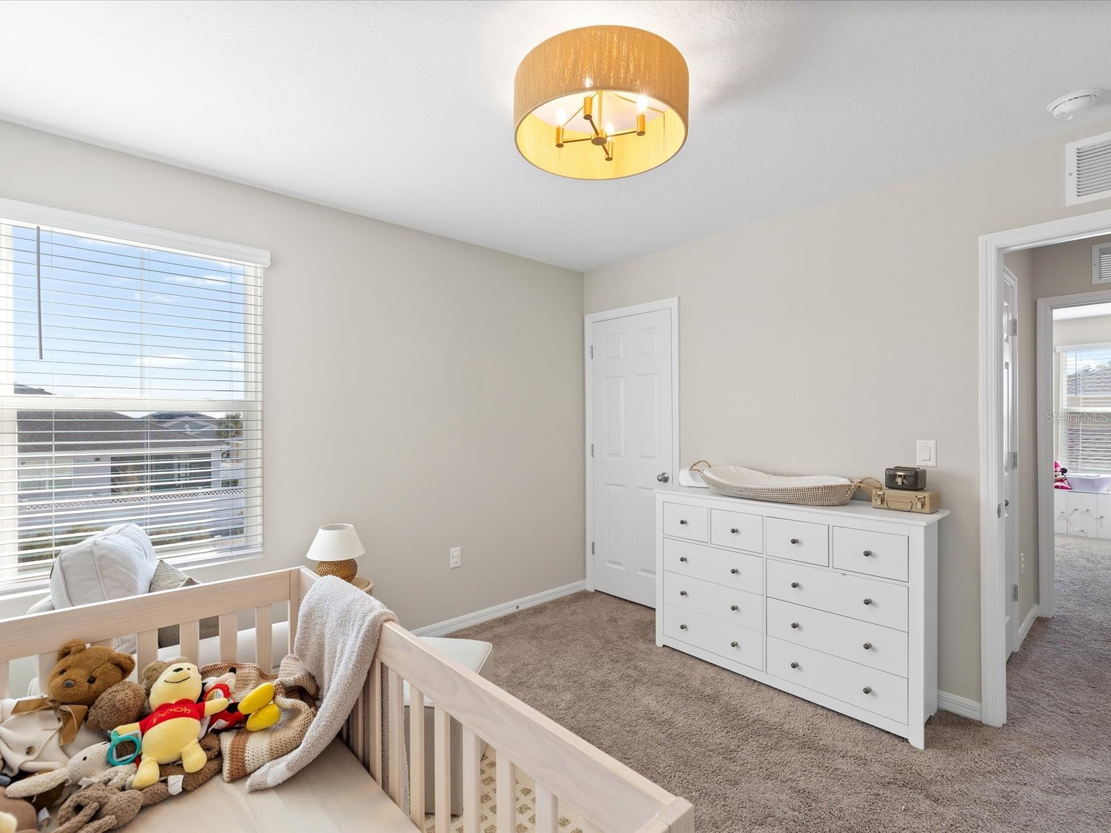 34110 Scarlet Sage Court Wesley Chapel FL 33545 TB8508128 image30