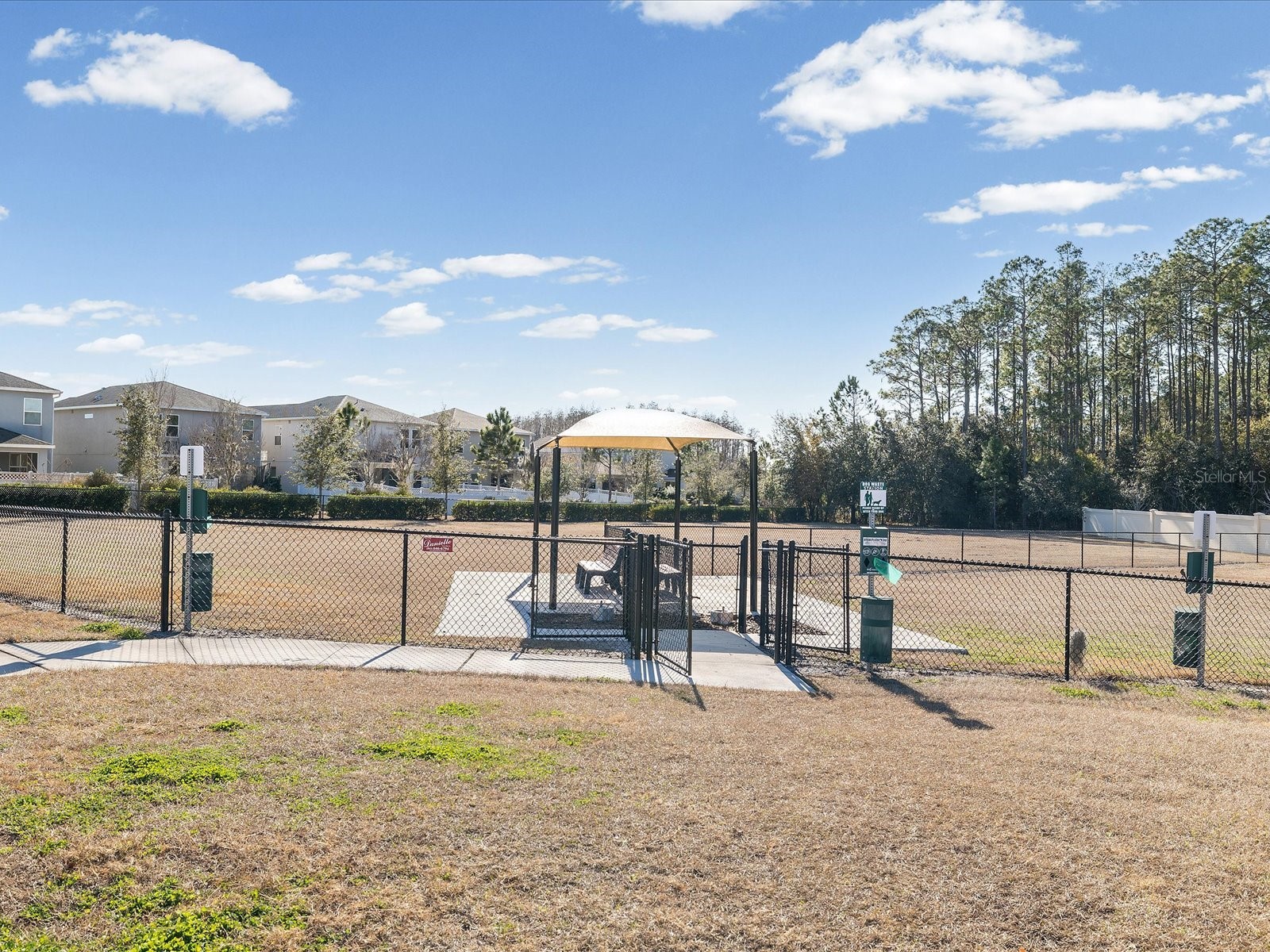 34110 Scarlet Sage Court Wesley Chapel FL 33545 TB8508128 image51