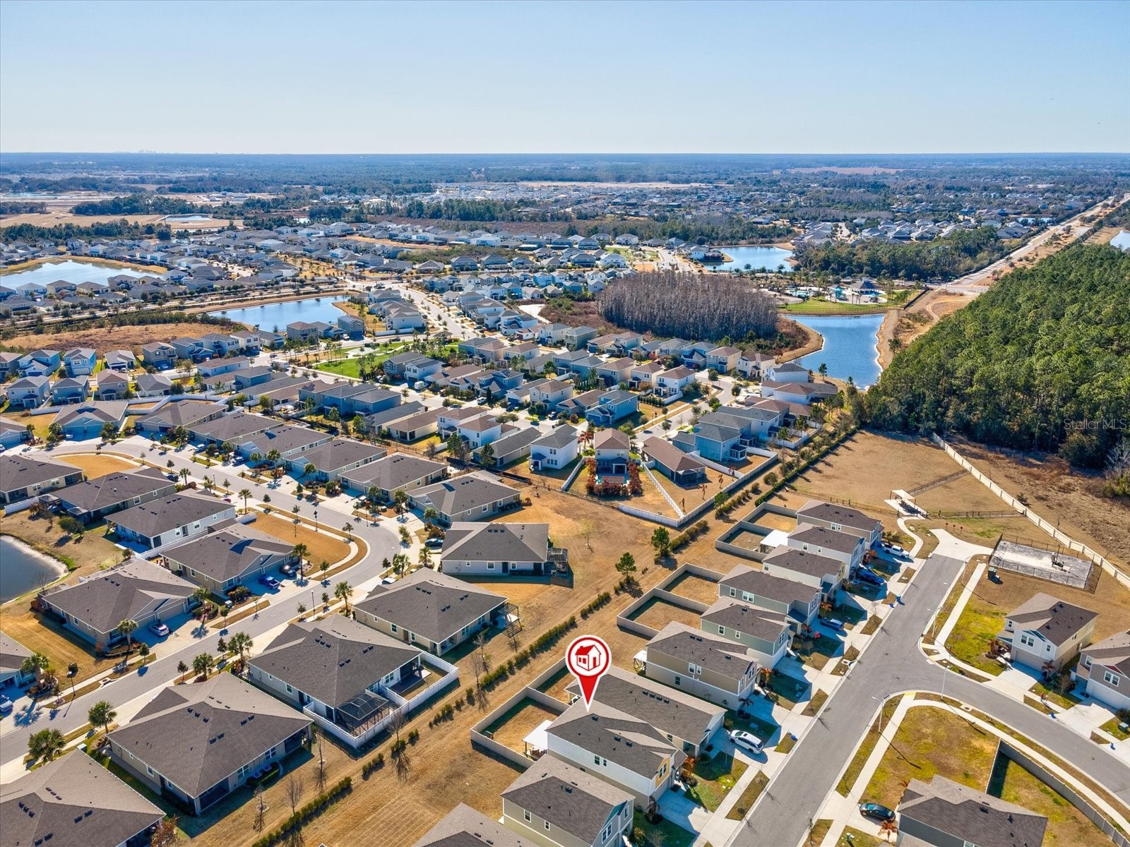 34110 Scarlet Sage Court Wesley Chapel FL 33545 TB8508128 image60
