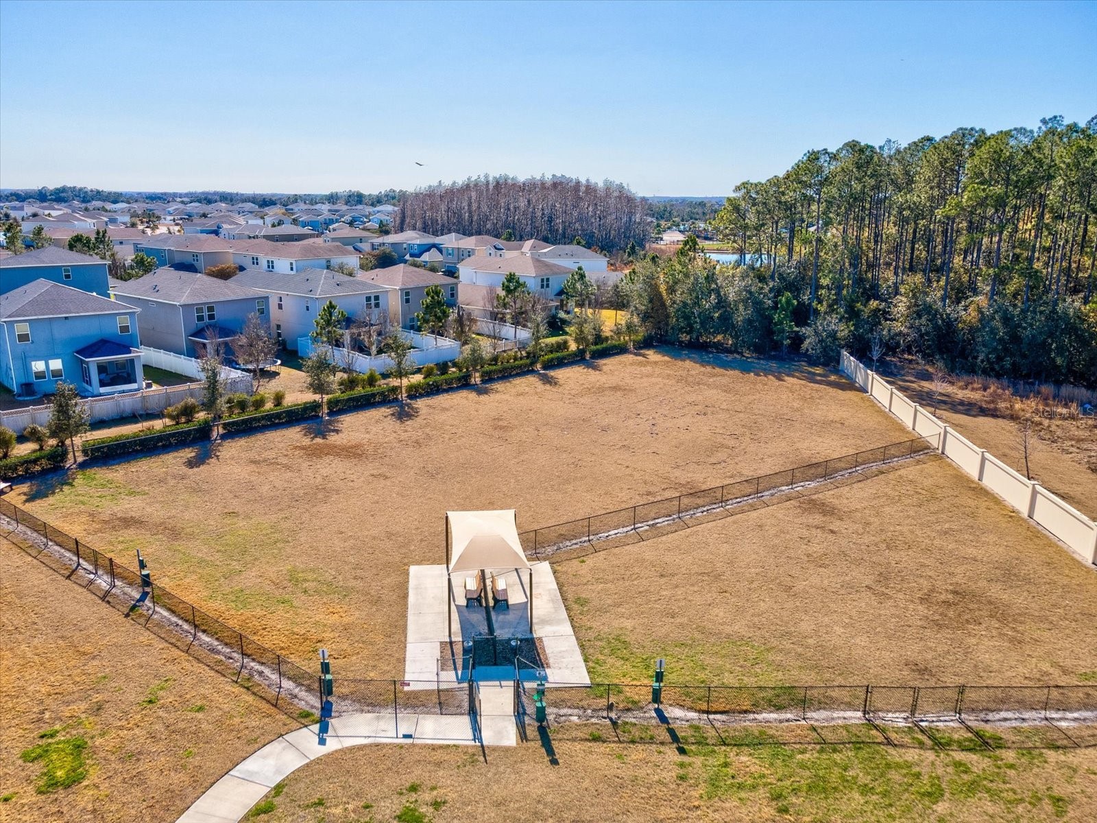 34110 Scarlet Sage Court Wesley Chapel FL 33545 TB8508128 image76