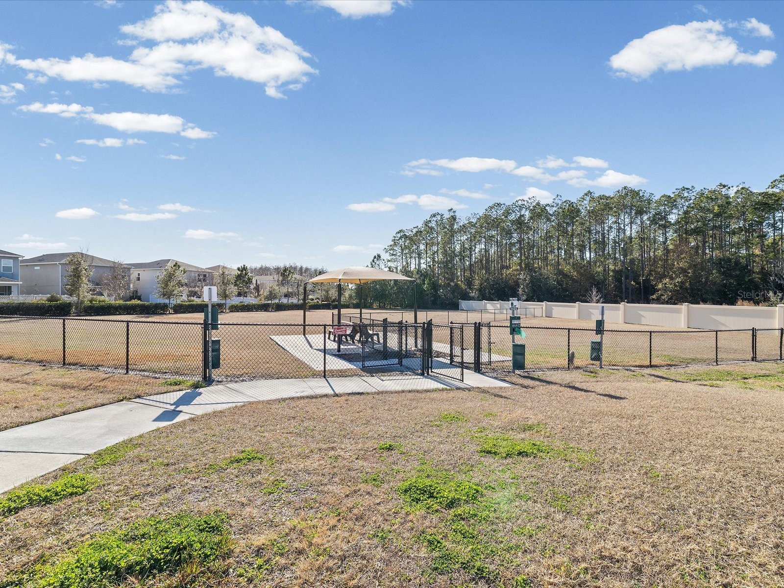 34110 Scarlet Sage Court Wesley Chapel FL 33545 TB8508128 image77