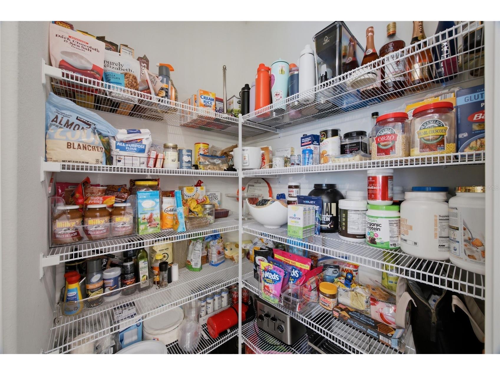 34119 Evergreen Hill Court Wesley Chapel FL 33545 TB8530546 image14