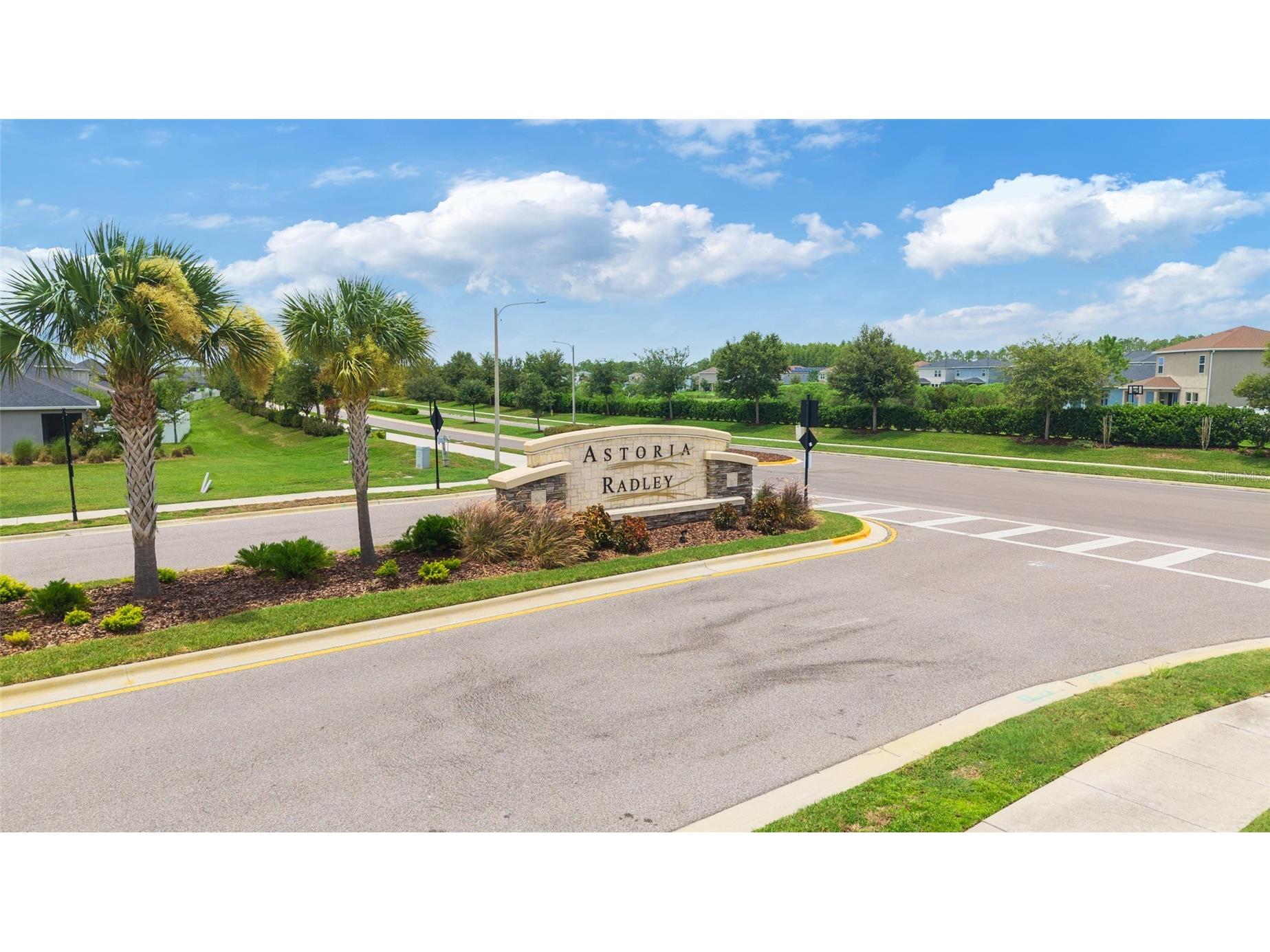 34119 Evergreen Hill Court Wesley Chapel FL 33545 TB8530546 image49