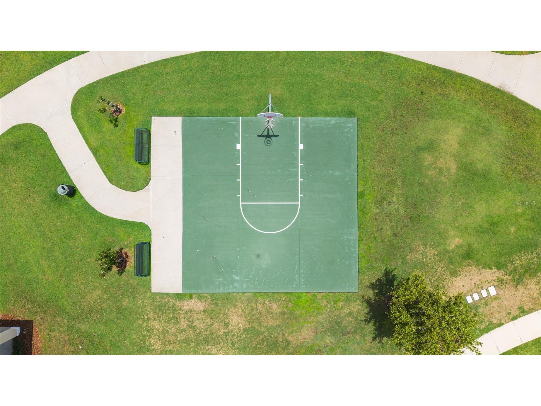 34119 Evergreen Hill Court Wesley Chapel FL 33545 TB8530546 image52
