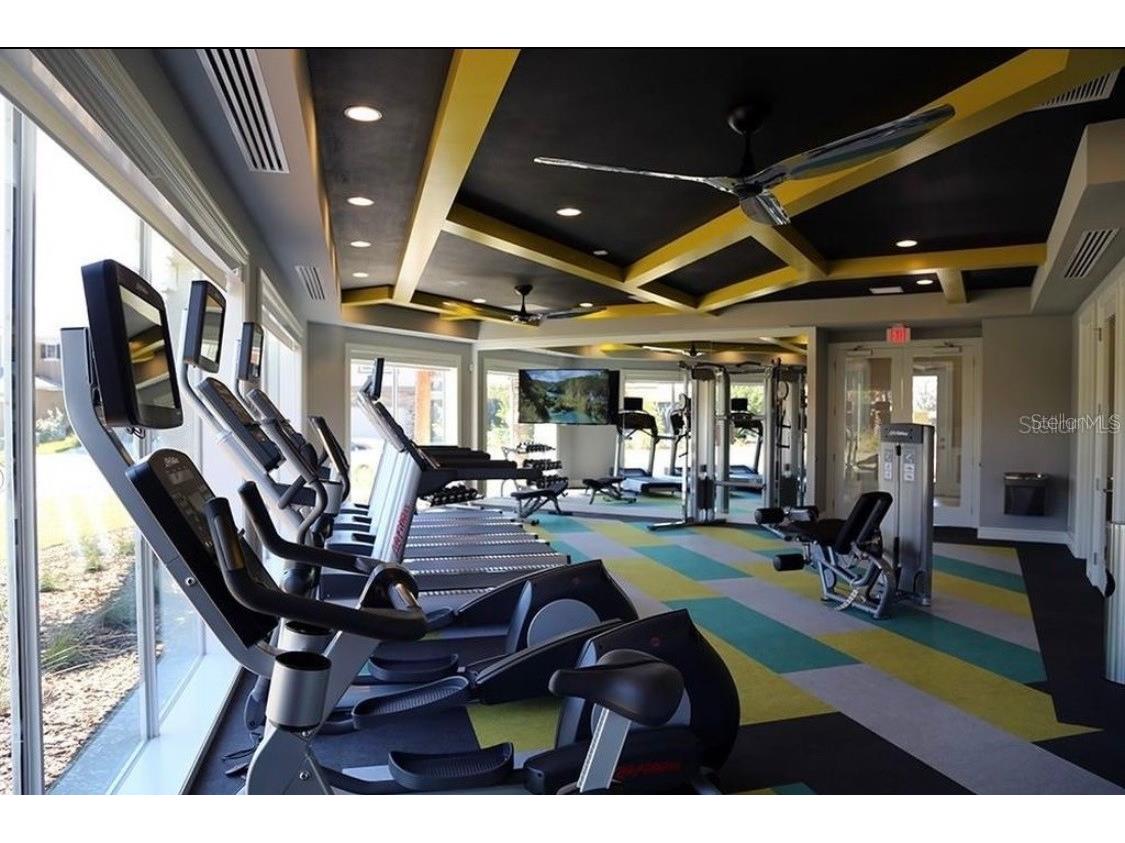 34119 Evergreen Hill Court Wesley Chapel FL 33545 TB8530546 image58
