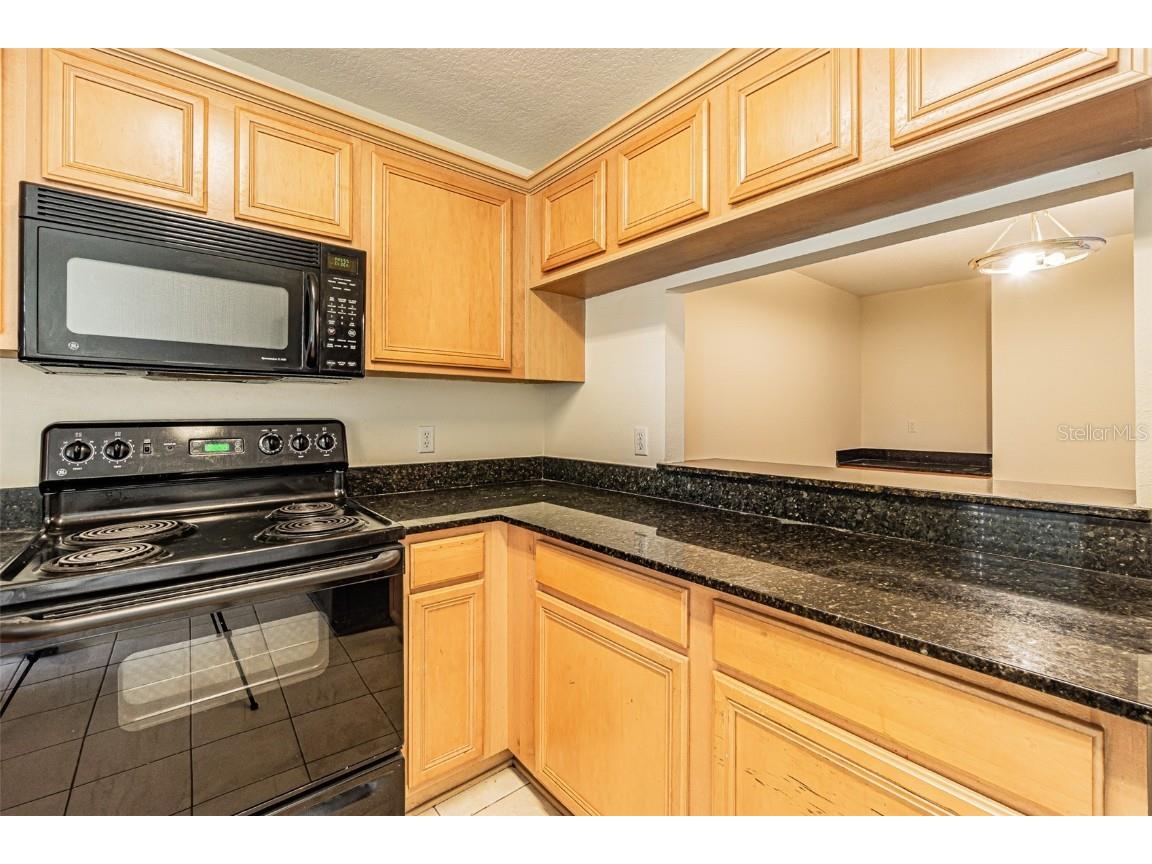 3412 Dragon View Court Valrico FL 33594 O6358114 image13