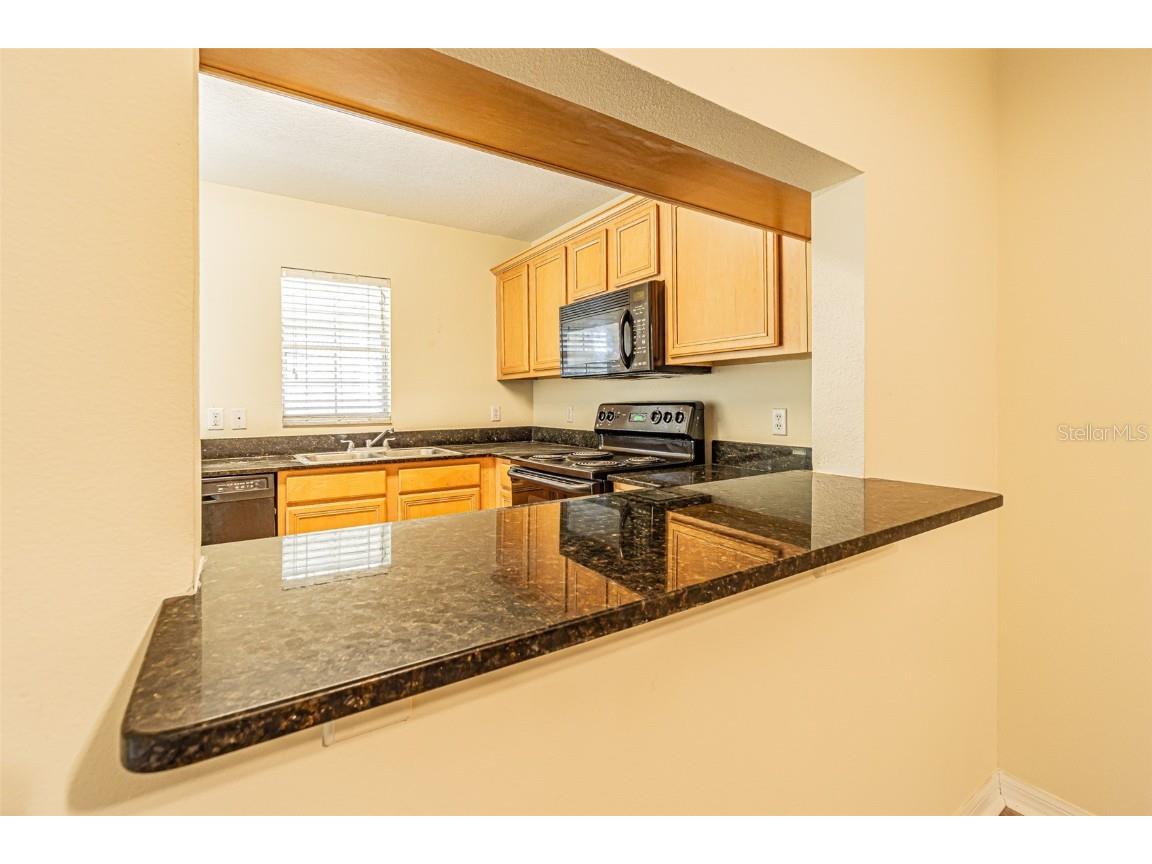 3412 Dragon View Court Valrico FL 33594 O6358114 image15