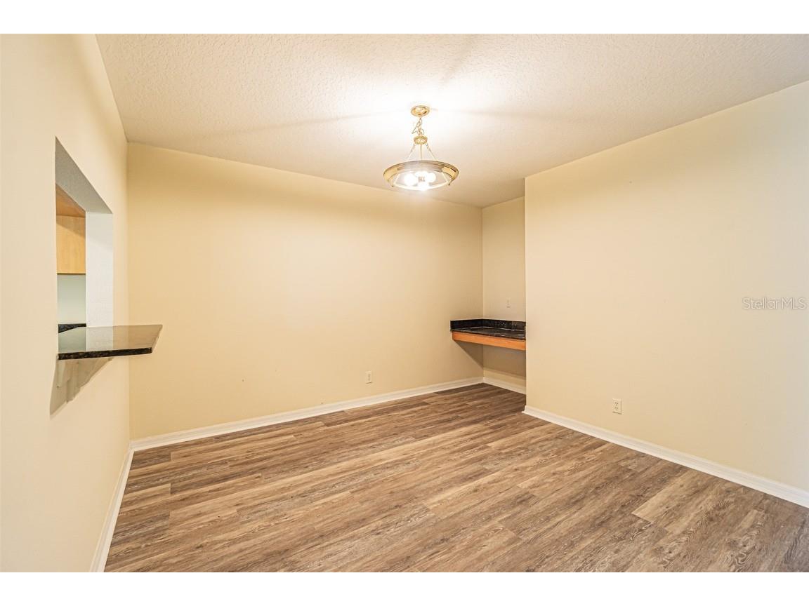 3412 Dragon View Court Valrico FL 33594 O6358114 image9