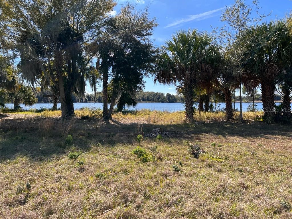 3412 Lake Diane Rd #67 Tavares FL 32778 - LAKE DIANE & HARRIS CHAIN S5081753 image10