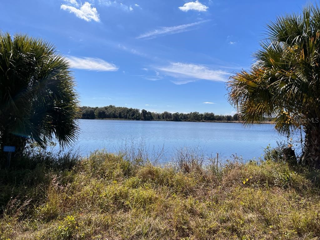 3412 Lake Diane Rd #67 Tavares FL 32778 - LAKE DIANE & HARRIS CHAIN S5081753 image2